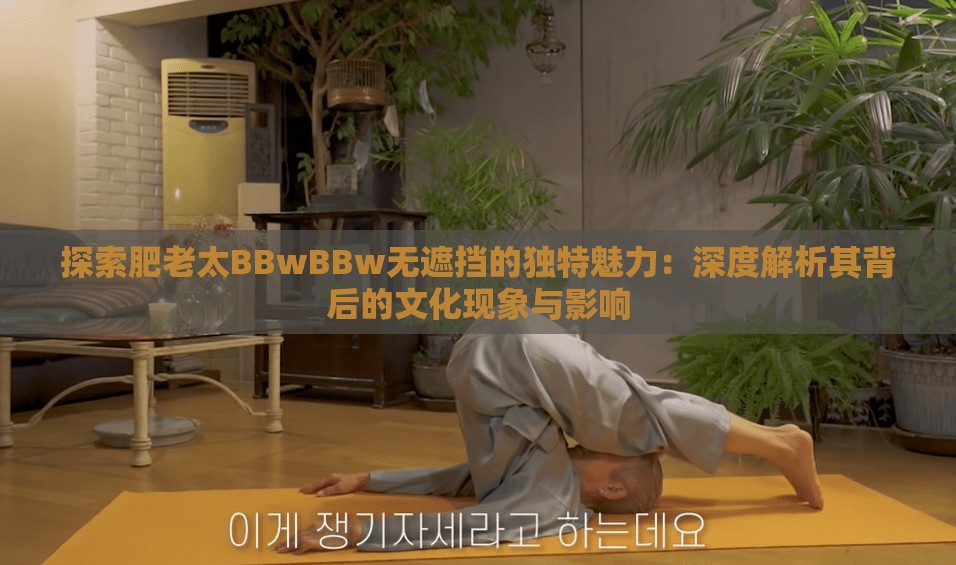 探索肥老太BBwBBw無(wú)遮擋的獨(dú)特魅力：深度解析其背后的文化現(xiàn)象與影響