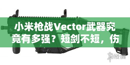 小米槍戰(zhàn)Vector武器究竟有多強？短劍不短，傷害表現(xiàn)真的優(yōu)秀嗎？