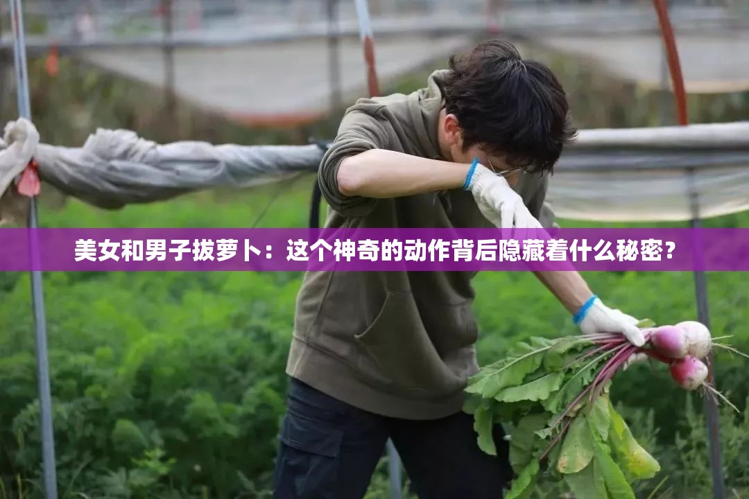 美女和男子拔蘿卜：這個(gè)神奇的動(dòng)作背后隱藏著什么秘密？
