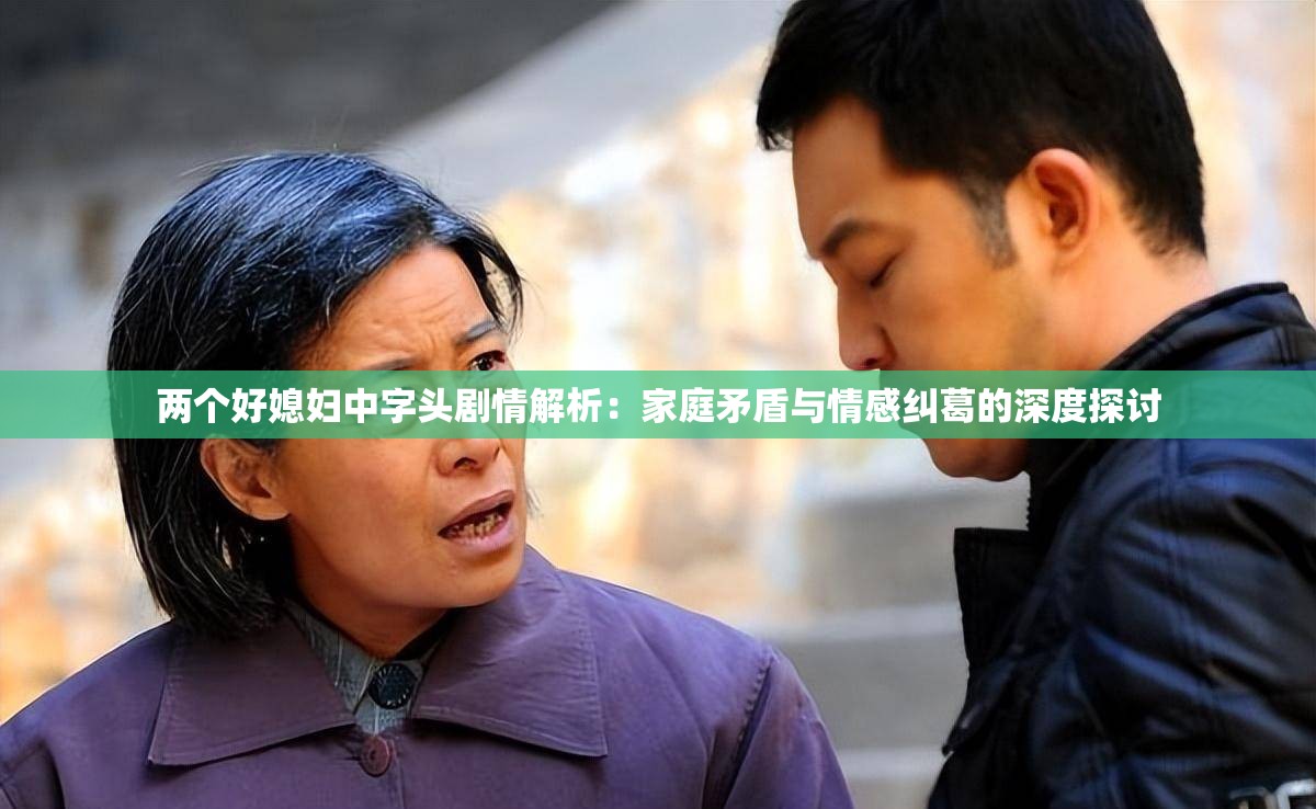 兩個好媳婦中字頭劇情解析：家庭矛盾與情感糾葛的深度探討