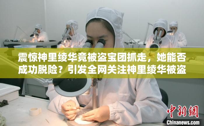 震驚神里綾華竟被盜寶團抓走，她能否成功脫險？引發(fā)全網(wǎng)關注神里綾華被盜寶團抓去，這背后究竟隱藏著怎樣的陰謀與危機？神里綾華被盜寶團抓走，廣大玩家心急如焚，后續(xù)情況究竟如何？