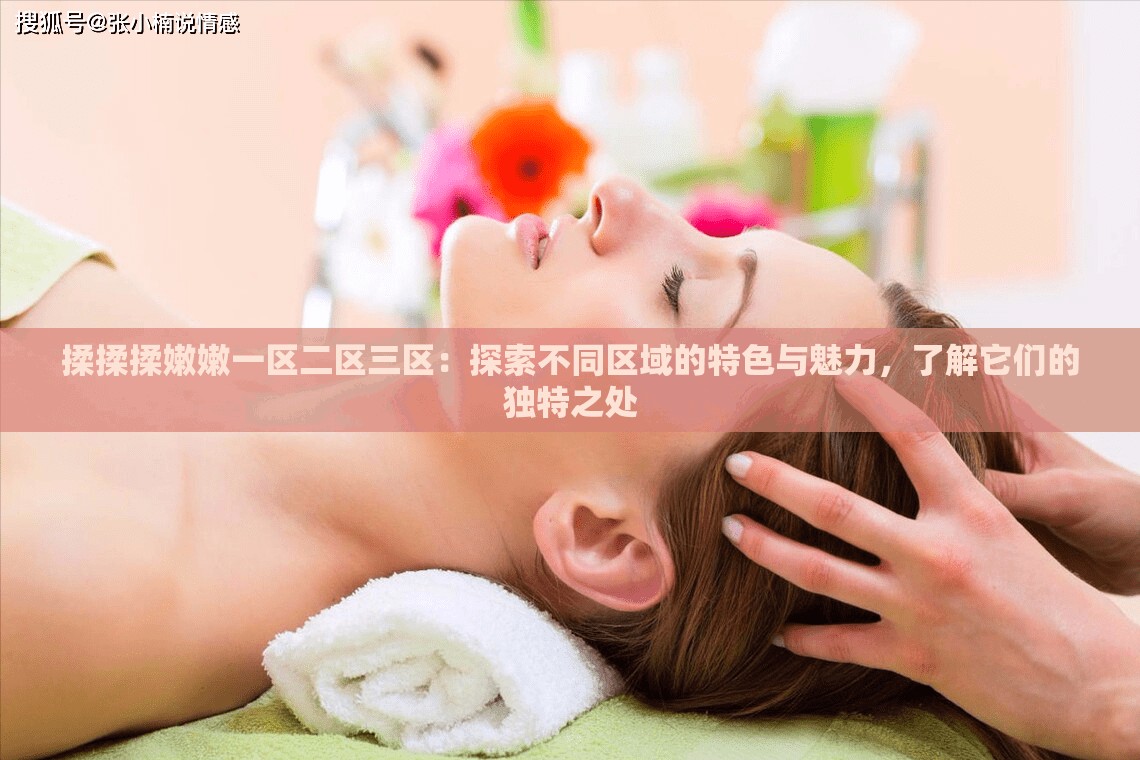 揉揉揉嫩嫩一區(qū)二區(qū)三區(qū)：探索不同區(qū)域的特色與魅力，了解它們的獨特之處