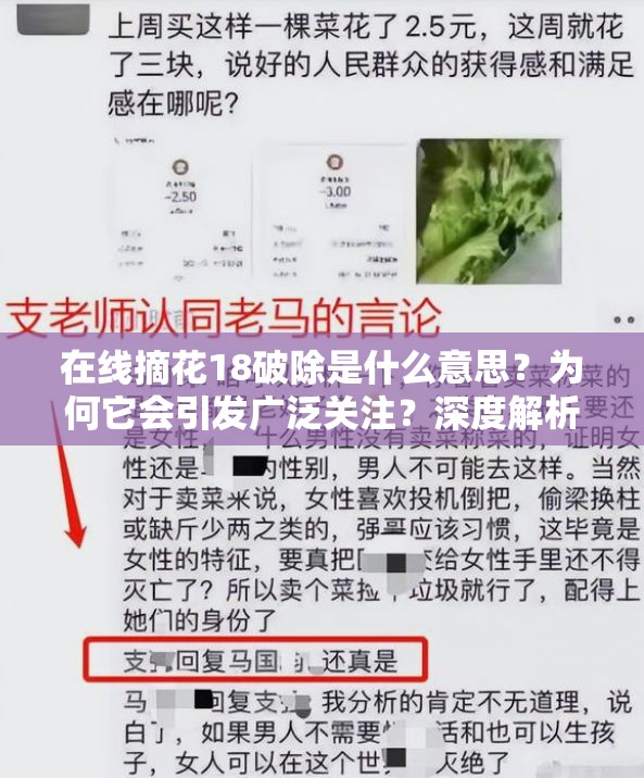 在線摘花18破除是什么意思？為何它會(huì)引發(fā)廣泛關(guān)注？深度解析其內(nèi)涵