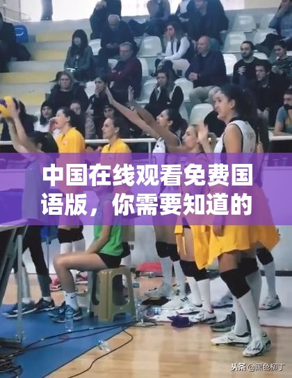 中國(guó)在線觀看免費(fèi)國(guó)語(yǔ)版，你需要知道的一切
