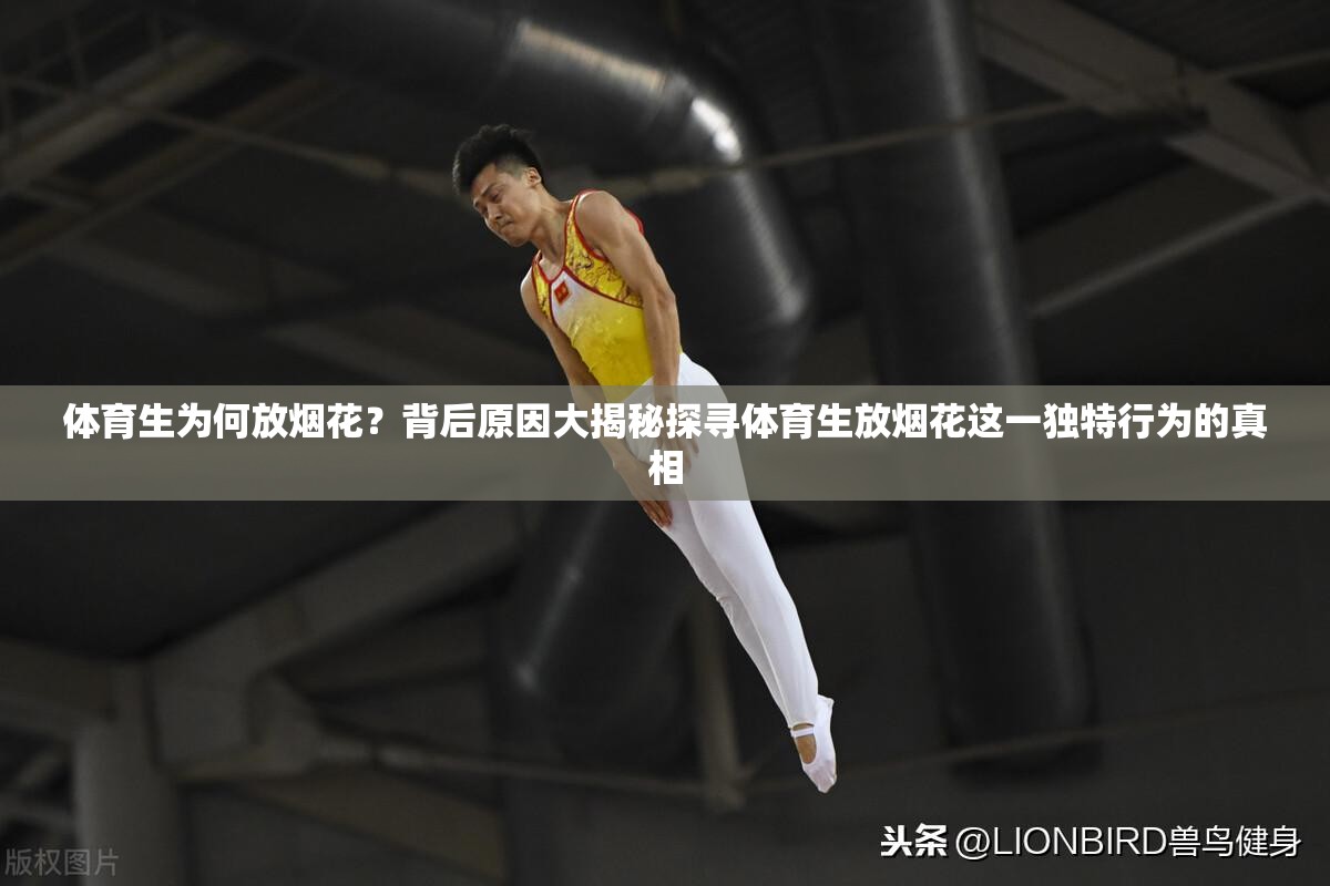 體育生為何放煙花？背后原因大揭秘探尋體育生放煙花這一獨特行為的真相