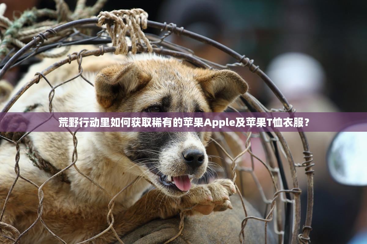 荒野行動里如何獲取稀有的蘋果Apple及蘋果T恤衣服？