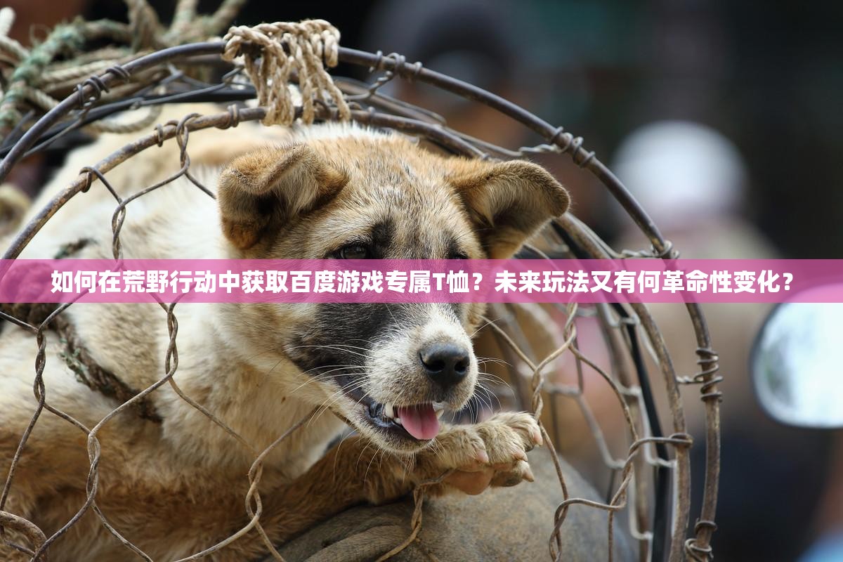 如何在荒野行動中獲取百度游戲?qū)賂恤？未來玩法又有何革命性變化？