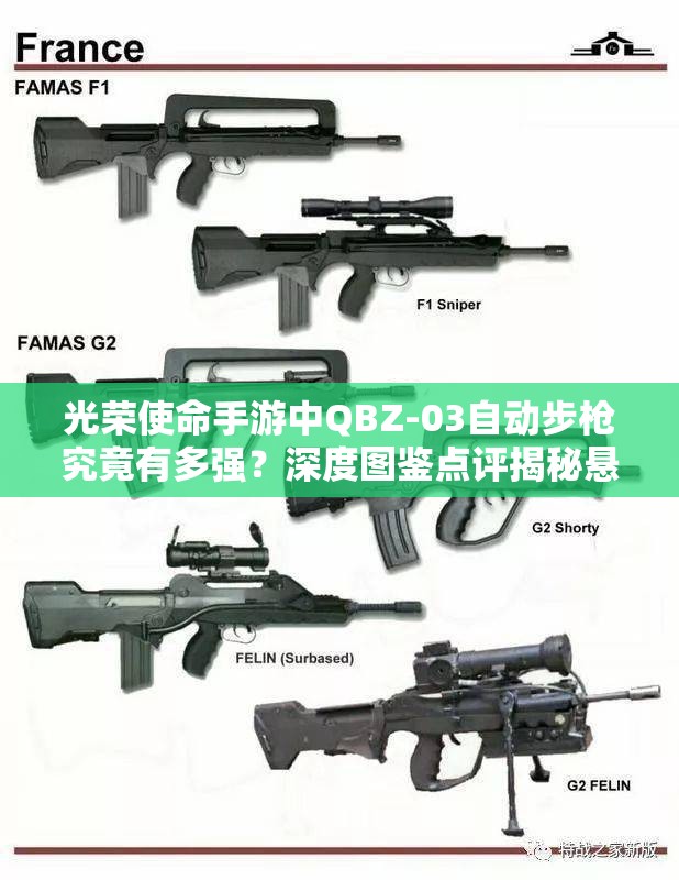 光榮使命手游中QBZ-03自動步槍究竟有多強？深度圖鑒點評揭秘懸念！