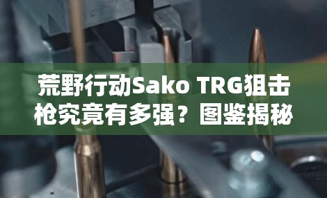 荒野行動Sako TRG狙擊槍究竟有多強(qiáng)？圖鑒揭秘其驚人威力！