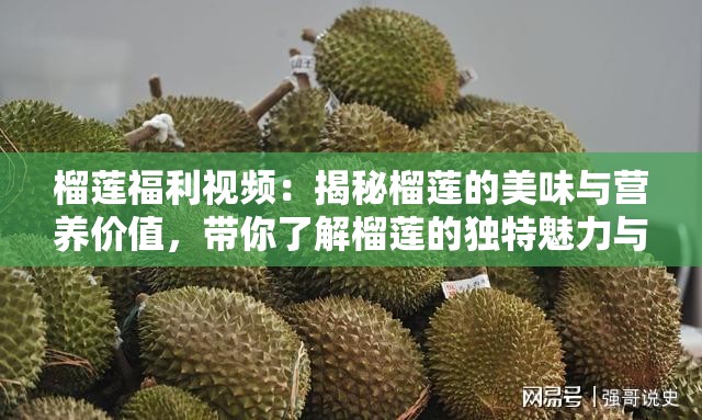 榴蓮福利視頻：揭秘榴蓮的美味與營養(yǎng)價值，帶你了解榴蓮的獨特魅力與健康益處