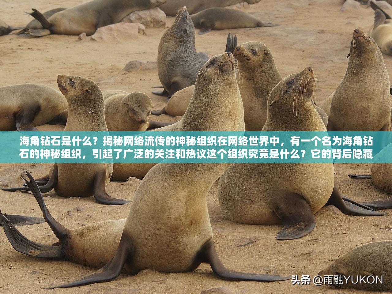 海角鉆石是什么？揭秘網(wǎng)絡(luò)流傳的神秘組織在網(wǎng)絡(luò)世界中，有一個名為海角鉆石的神秘組織，引起了廣泛的關(guān)注和熱議這個組織究竟是什么？它的背后隱藏著怎樣的秘密？將揭開海角鉆石的神秘面紗，探尋其背后的真相