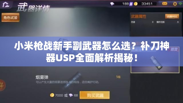小米槍戰(zhàn)新手副武器怎么選？補刀神器USP全面解析揭秘！