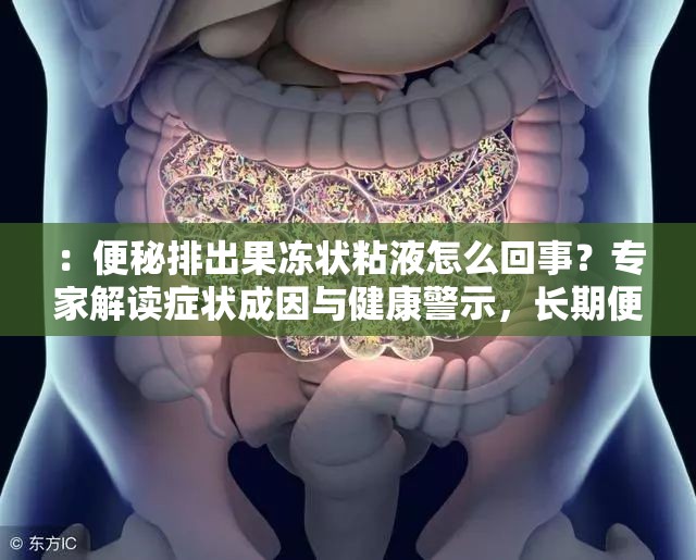 ：便秘排出果凍狀粘液怎么回事？專家解讀癥狀成因與健康警示，長期便秘需警惕（說明：完整保留用戶關(guān)鍵詞，通過疑問句式吸引點擊，加入成因、健康警示等符合搜索需求的延伸詞，使用專家解讀提升可信度，長期便秘需警惕暗示潛在風險，觸發(fā)用戶健康焦慮心理，整體符合百度用戶對醫(yī)療癥狀的搜索習慣，總字數(shù)36字）