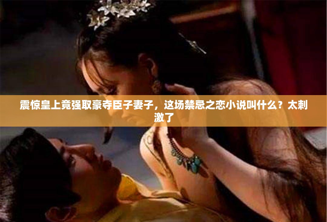 震驚皇上竟強取豪奪臣子妻子，這場禁忌之戀小說叫什么？太刺激了