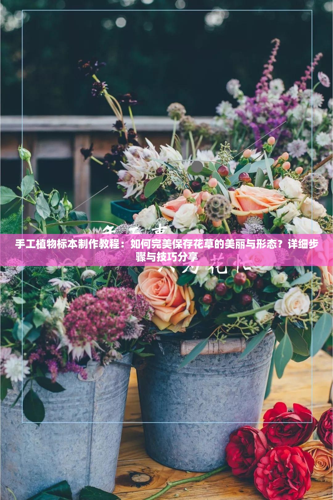 手工植物標本制作教程：如何完美保存花草的美麗與形態(tài)？詳細步驟與技巧分享