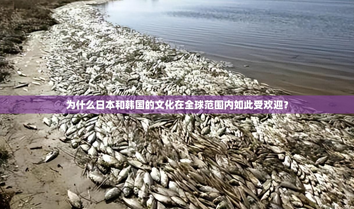 為什么日本和韓國(guó)的文化在全球范圍內(nèi)如此受歡迎？