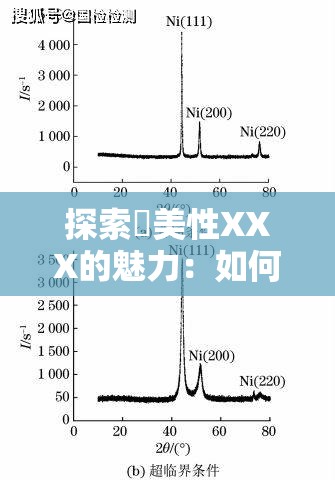 探索欭美性XXX的魅力：如何通過獨(dú)特視角提升生活品質(zhì)與審美體驗(yàn)？