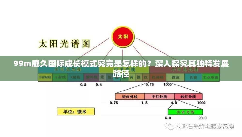 99m威久國(guó)際成長(zhǎng)模式究竟是怎樣的？深入探究其獨(dú)特發(fā)展路徑