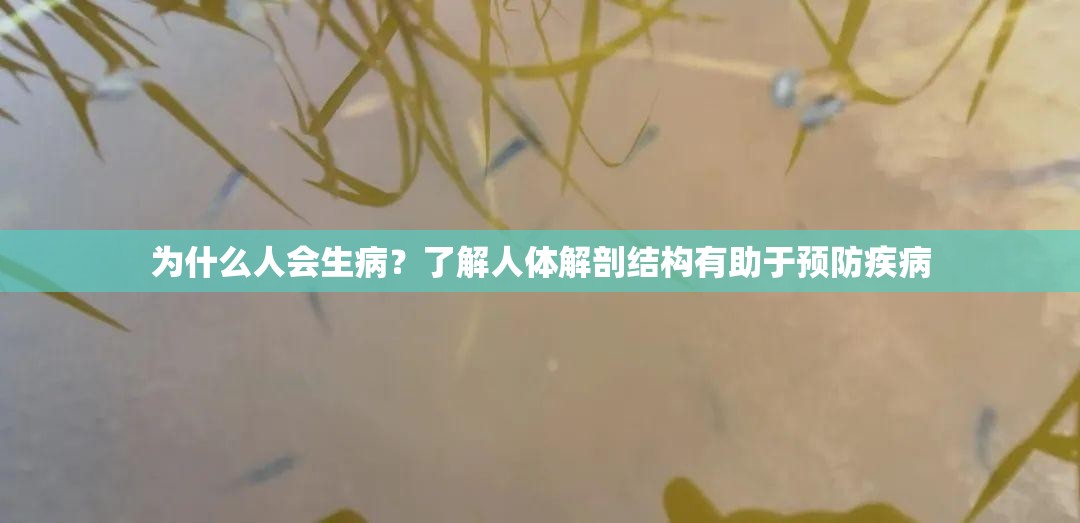 為什么人會生??？了解人體解剖結(jié)構(gòu)有助于預(yù)防疾病