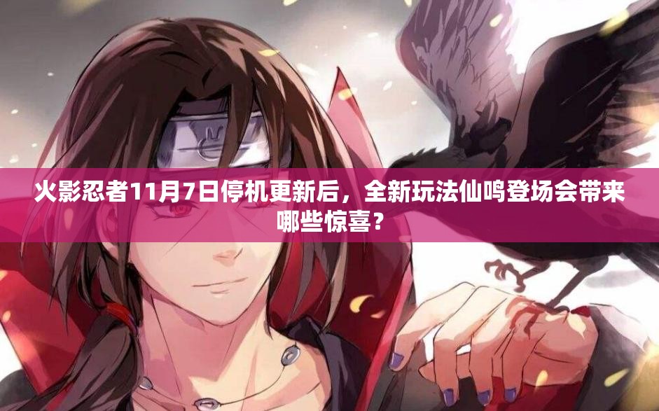 火影忍者11月7日停機更新后，全新玩法仙鳴登場會帶來哪些驚喜？