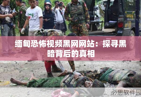 緬甸恐怖視頻黑網(wǎng)網(wǎng)站：探尋黑暗背后的真相