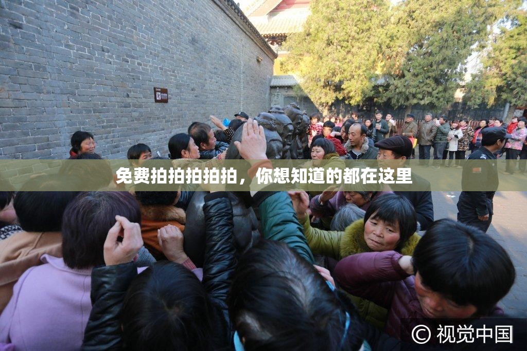 免費(fèi)拍拍拍拍拍，你想知道的都在這里