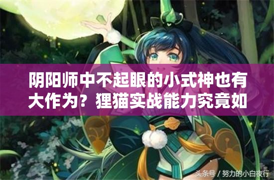 陰陽師中不起眼的小式神也有大作為？貍貓實戰(zhàn)能力究竟如何？