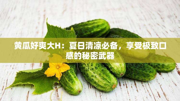 黃瓜好爽大H：夏日清涼必備，享受極致口感的秘密武器