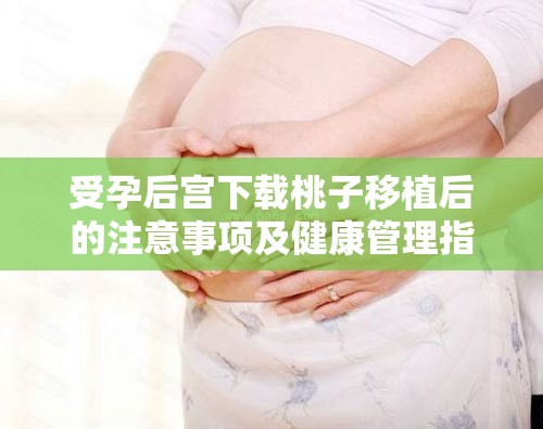 受孕后宮下載桃子移植后的注意事項及健康管理指南：全面解析孕期護(hù)理與營養(yǎng)補(bǔ)充