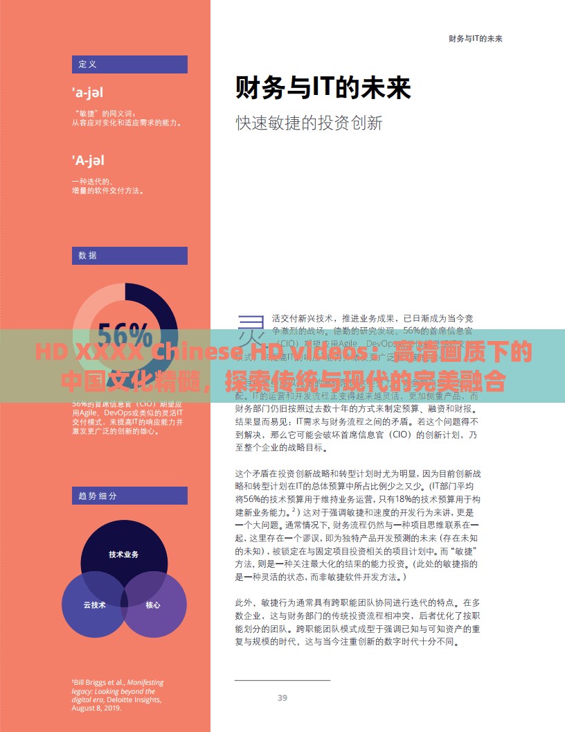 HD XXXX Chinese HD videos：高清畫質(zhì)下的中國文化精髓，探索傳統(tǒng)與現(xiàn)代的完美融合
