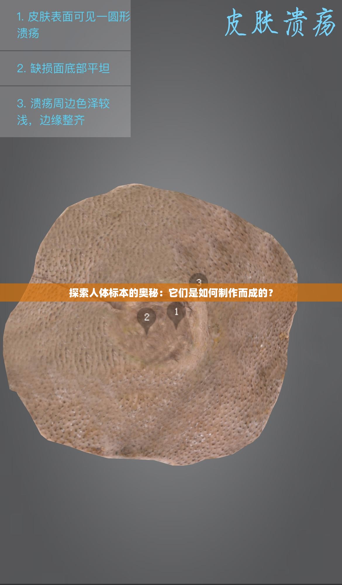 探索人體標(biāo)本的奧秘：它們是如何制作而成的？