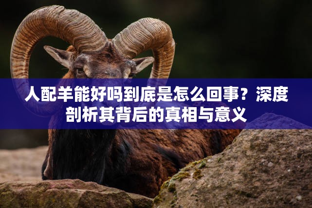 人配羊能好嗎到底是怎么回事？深度剖析其背后的真相與意義