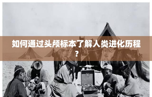 如何通過頭顱標本了解人類進化歷程？