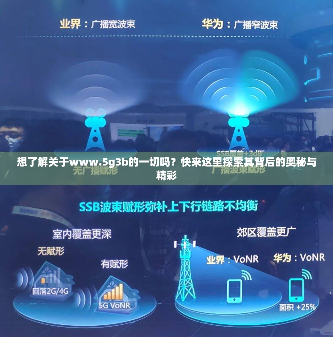 想了解關于www.5g3b的一切嗎？快來這里探索其背后的奧秘與精彩