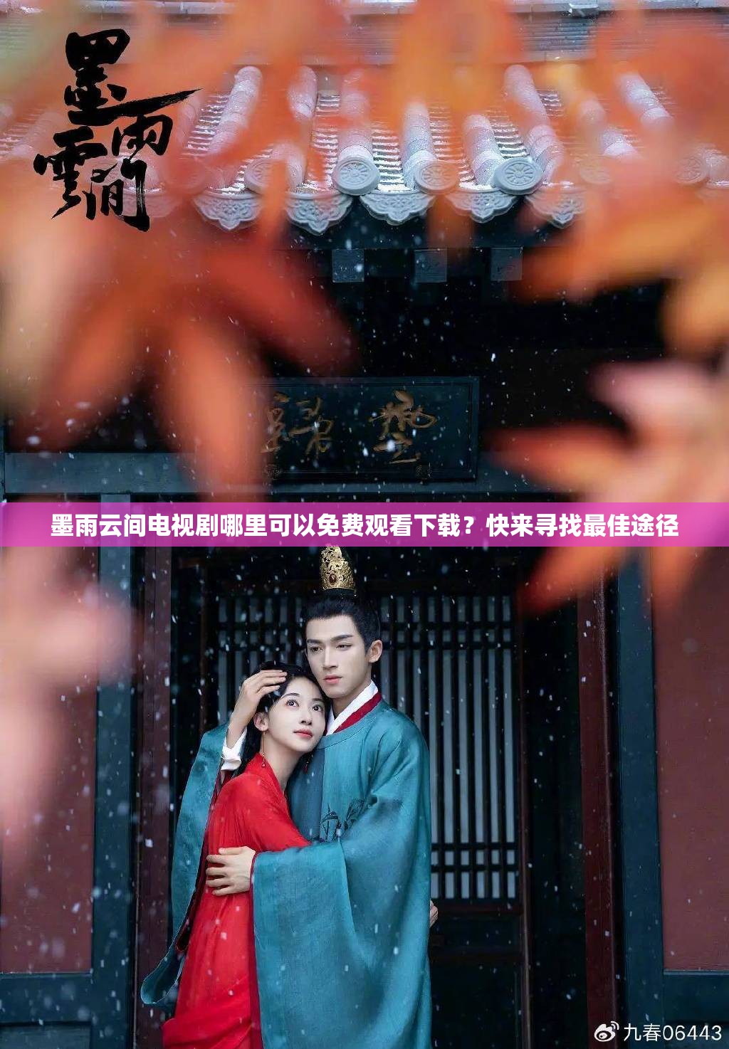 墨雨云間電視劇哪里可以免費觀看下載？快來尋找最佳途徑