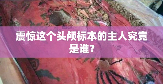 震驚這個頭顱標本的主人究竟是誰？