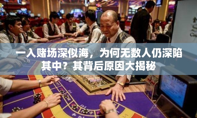 一入賭場(chǎng)深似海，為何無(wú)數(shù)人仍深陷其中？其背后原因大揭秘