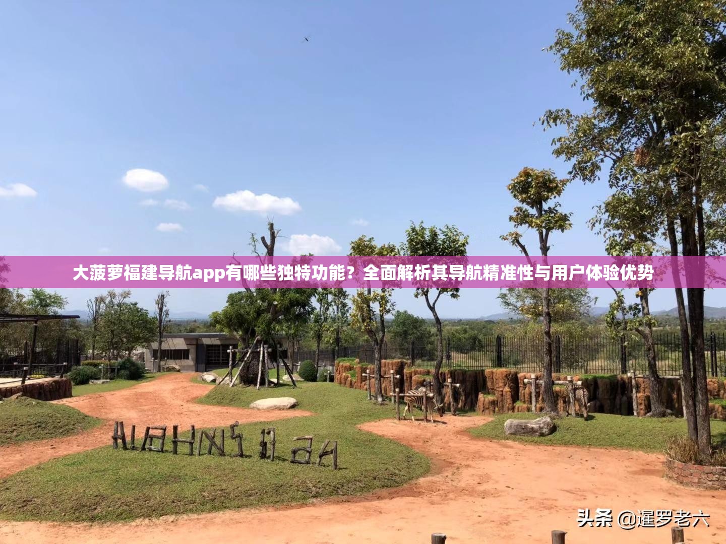 大菠蘿福建導(dǎo)航app有哪些獨特功能？全面解析其導(dǎo)航精準(zhǔn)性與用戶體驗優(yōu)勢