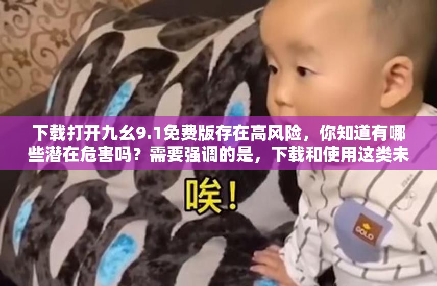 下載打開(kāi)九幺9.1免費(fèi)版存在高風(fēng)險(xiǎn)，你知道有哪些潛在危害嗎？需要強(qiáng)調(diào)的是，下載和使用這類未經(jīng)授權(quán)的軟件可能涉及侵權(quán)和違法，不建議進(jìn)行此類操作