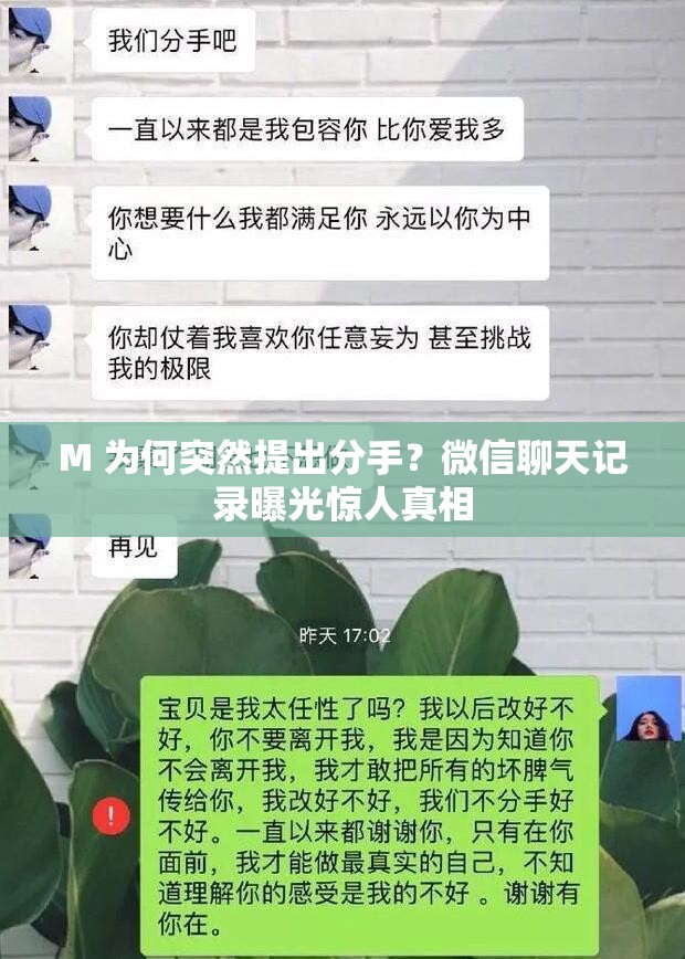M 為何突然提出分手？微信聊天記錄曝光驚人真相
