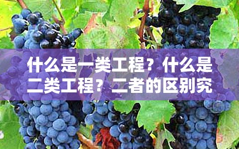 什么是一類工程？什么是二類工程？二者的區(qū)別究竟在哪里？