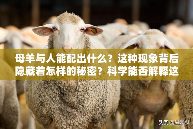 母羊與人能配出什么？這種現(xiàn)象背后隱藏著怎樣的秘密？科學能否解釋這種離奇組合？