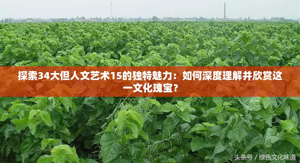 探索34大但人文藝術(shù)15的獨特魅力：如何深度理解并欣賞這一文化瑰寶？