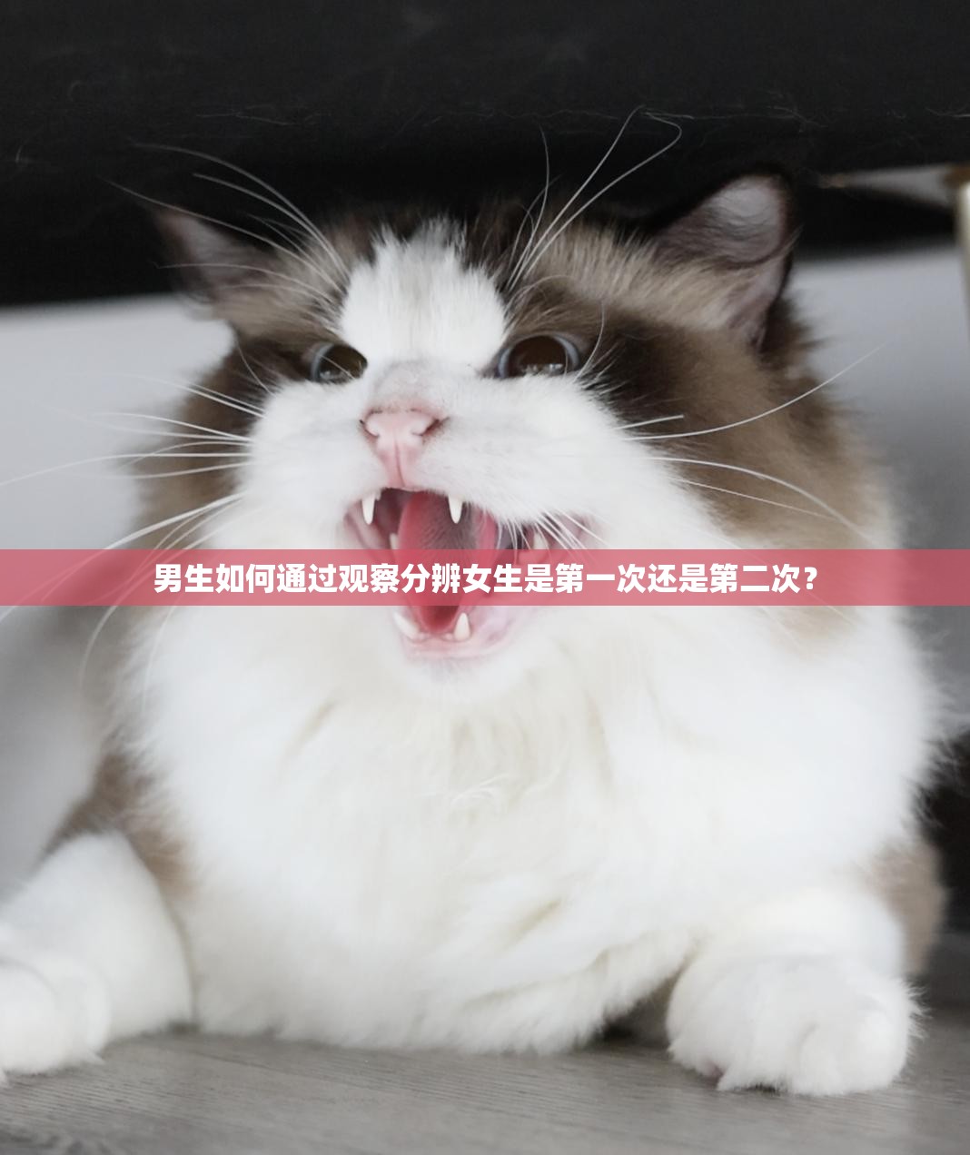 男生如何通過觀察分辨女生是第一次還是第二次？