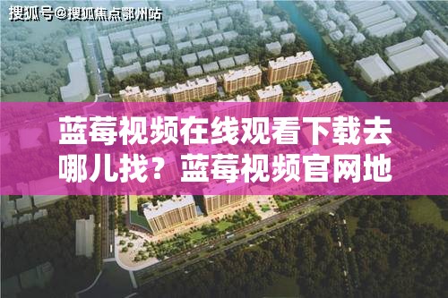 藍(lán)莓視頻在線觀看下載去哪兒找？藍(lán)莓視頻官網(wǎng)地址及下載方法一覽需注意，確保你所提及的內(nèi)容是合法合規(guī)的，避免傳播不良或未經(jīng)授權(quán)的信息