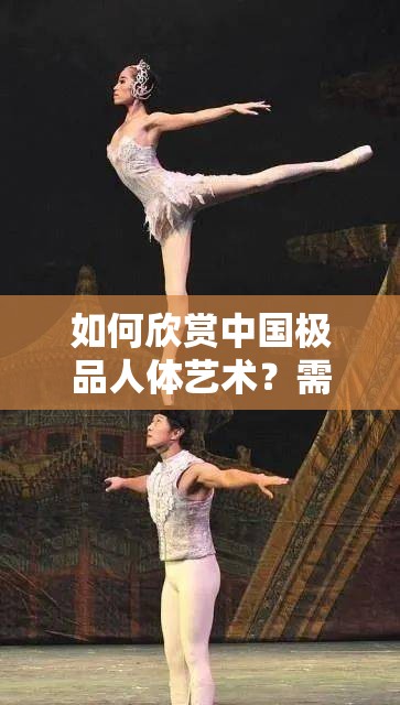 如何欣賞中國極品人體藝術(shù)？需要注意的是，人體藝術(shù)是一種藝術(shù)形式，它的價值在于表達美和情感，而不是或低俗的內(nèi)容因此，在欣賞人體藝術(shù)時，我們應(yīng)該保持尊重和理性，不要過度追求刺激和低俗的內(nèi)容