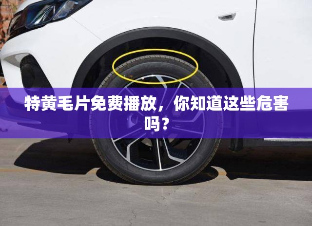 特黃毛片免費播放，你知道這些危害嗎？