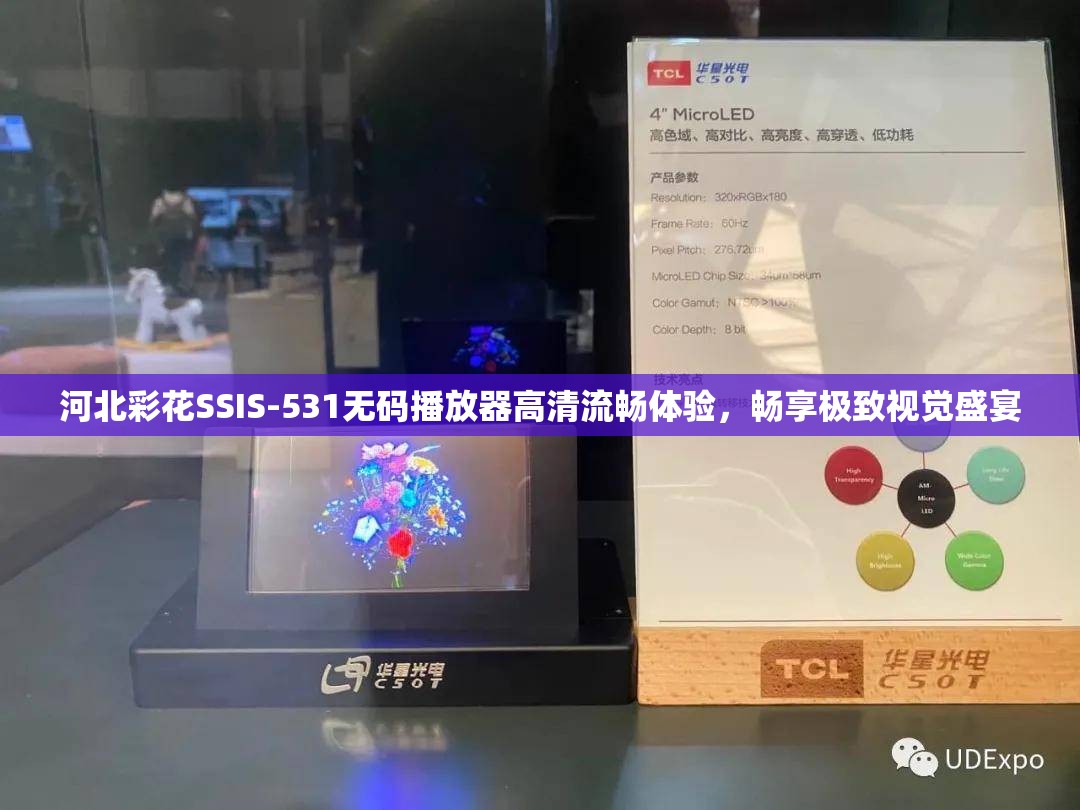 河北彩花SSIS-531無(wú)碼播放器高清流暢體驗(yàn)，暢享極致視覺(jué)盛宴