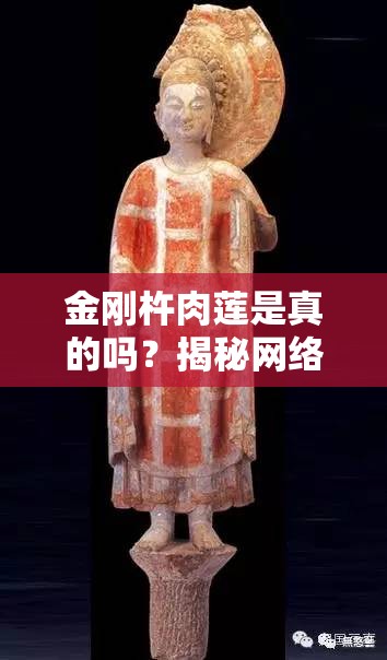金剛杵肉蓮是真的嗎？揭秘網(wǎng)絡(luò)熱議的金剛杵肉蓮背后的真相與傳說