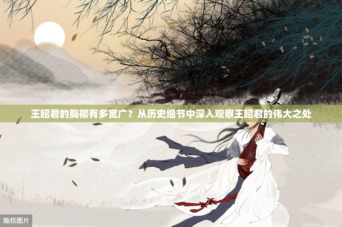 王昭君的胸襟有多寬廣？從歷史細(xì)節(jié)中深入觀察王昭君的偉大之處